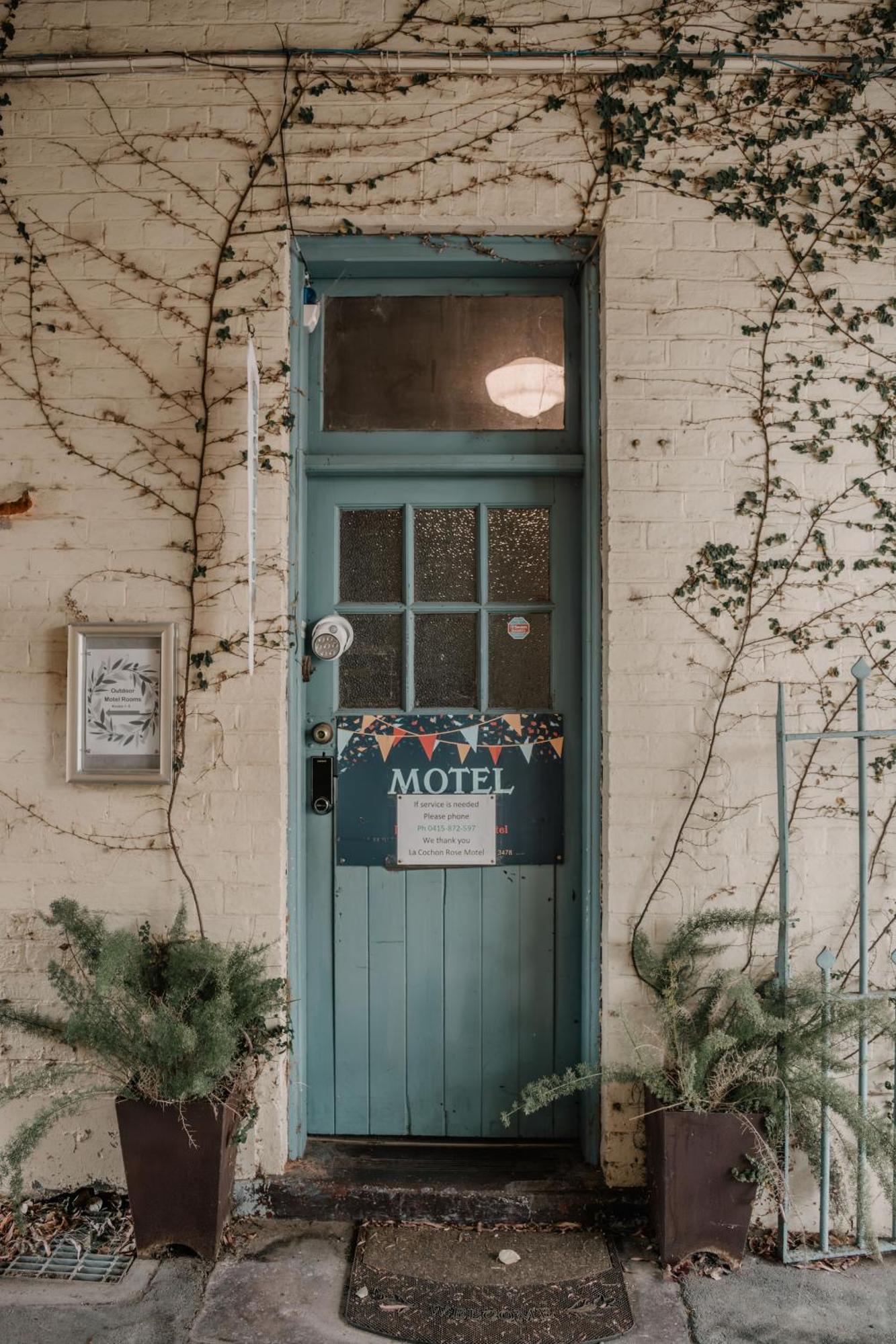 La Cochon Rose Motel Saint Arnaud Extérieur photo